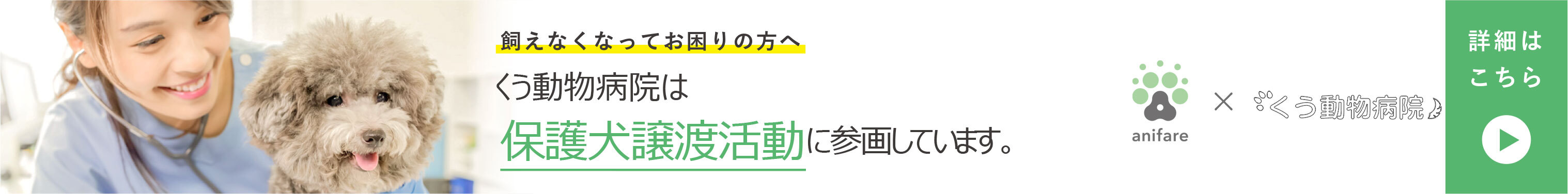 獣医師賛同の里親募集サイト　アニフェア