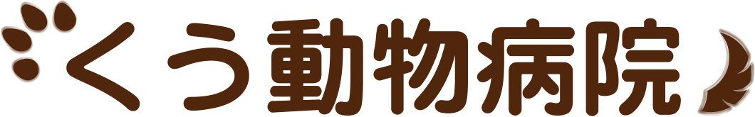 くう動物病院