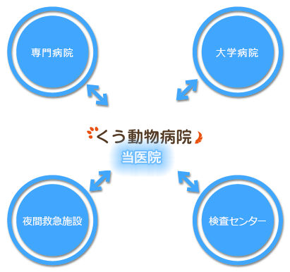 東村山市 所沢市 東大和市 くう動物病院 サポート体制