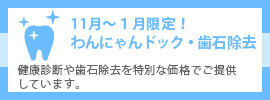 わんにゃんドック・歯石除去